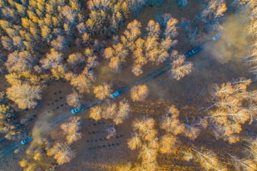 6549d3563bcfb 6549d3563bcfb