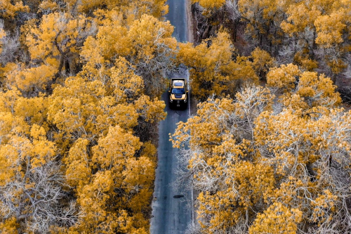 6549d3599b1c5 6549d3599b1c5